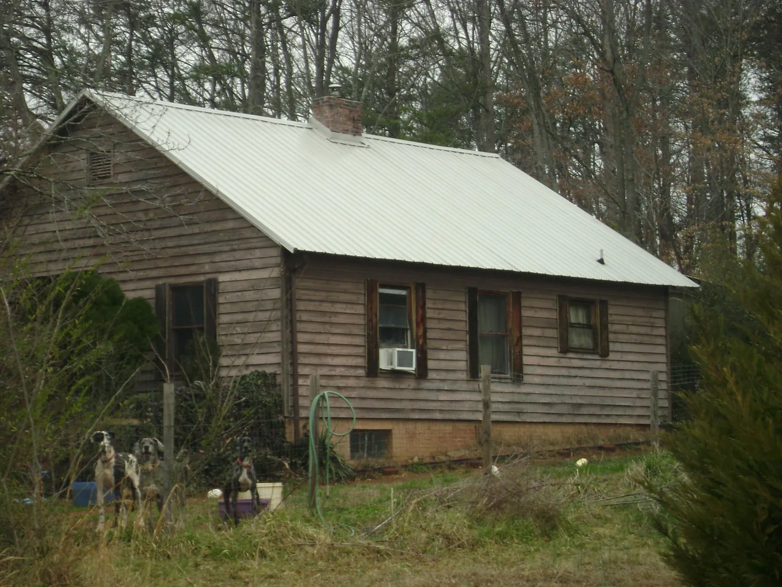 White metal roof on an old wood sided farmhouse, from a Metal Roof Installation job in Saint Michaels
